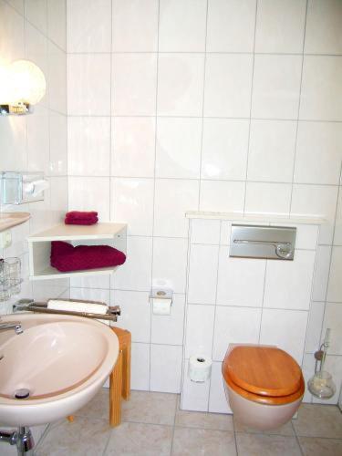 Hotel Am Torfteich 巴德茨维什安 外观 照片