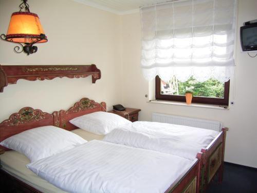 Hotel Am Torfteich 巴德茨维什安 外观 照片